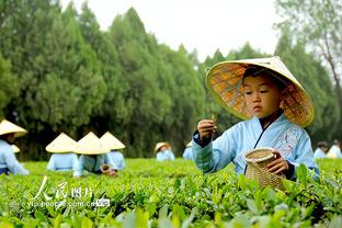 努涅斯本场对阵伯恩利数据：1进球3关键传球，评分7.8